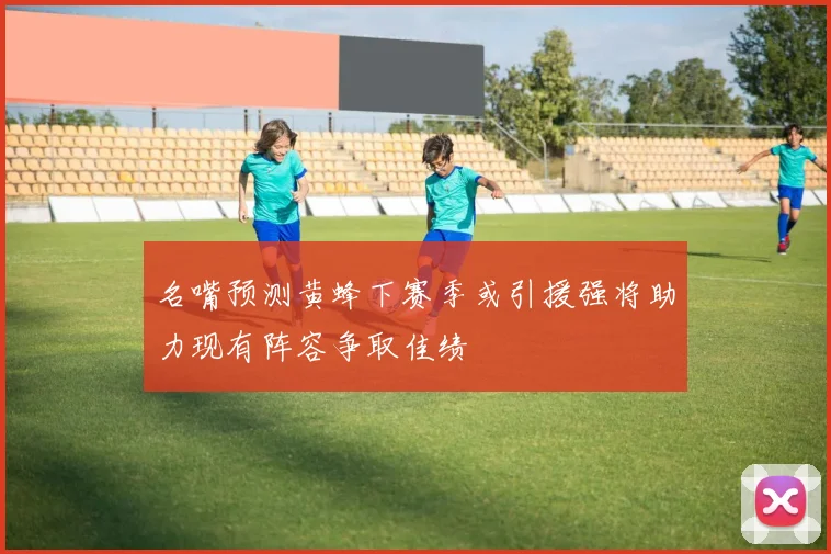 名嘴预测黄蜂下赛季或引援强将助力现有阵容争取佳绩