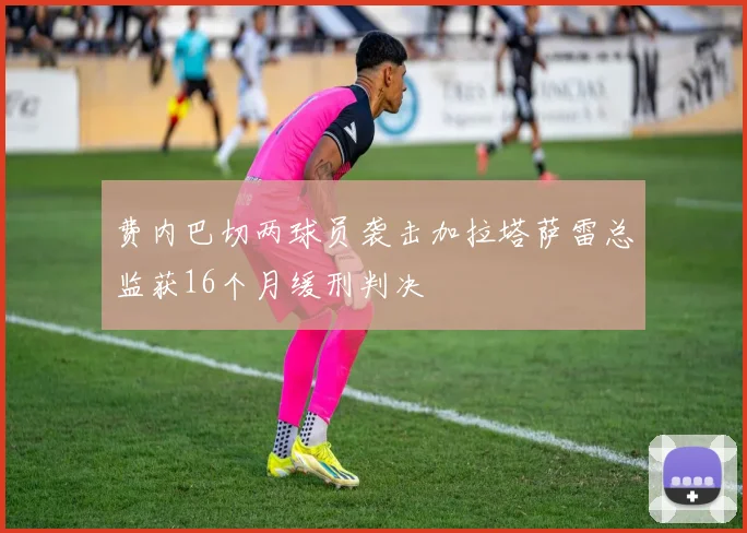 费内巴切两球员袭击加拉塔萨雷总监获16个月缓刑判决